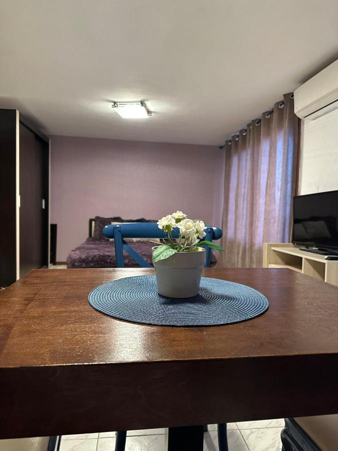 Hotel Вила Николета Sveti Vlas Exteriér fotografie