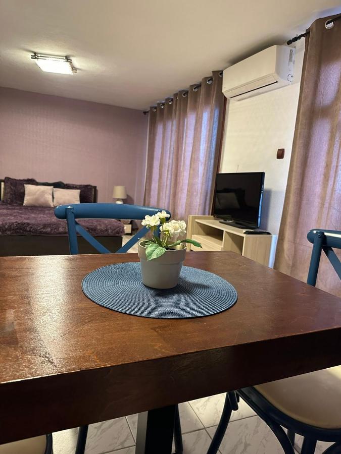Hotel Вила Николета Sveti Vlas Exteriér fotografie